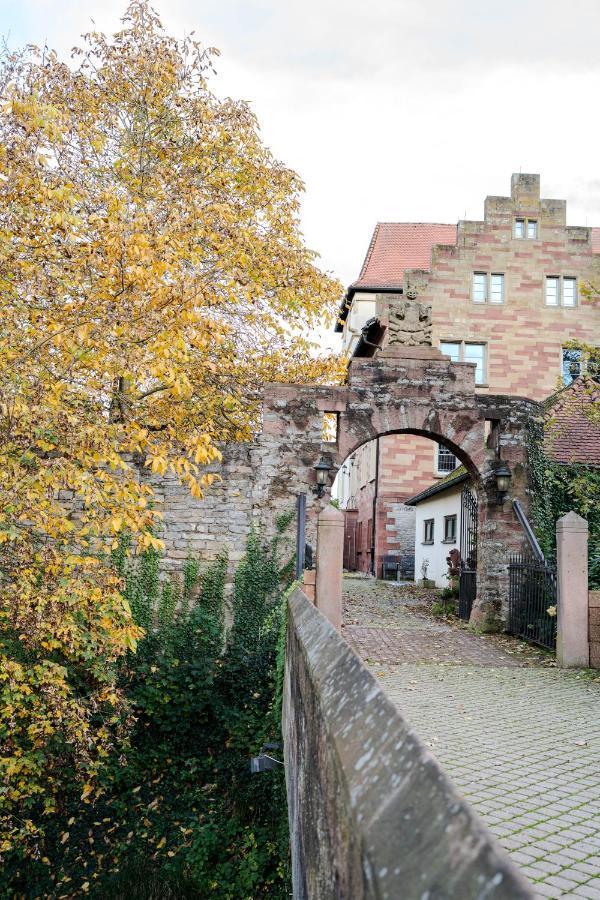 Eventlocation & Hotel Schloss Neuburg Obrigheim Екстериор снимка
